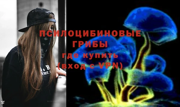 ALPHA PVP Касимов