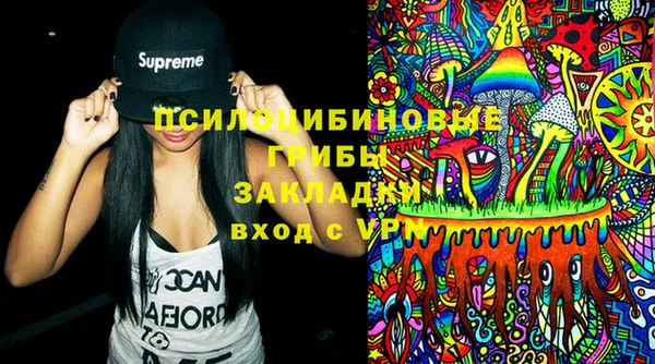 хмурый Карпинск