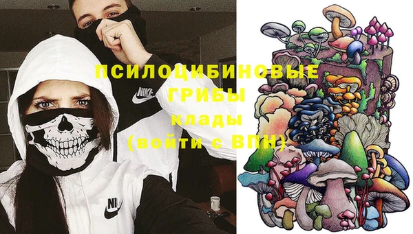 хмурый Карпинск