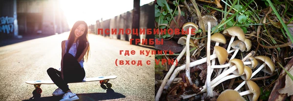 ALPHA PVP Касимов
