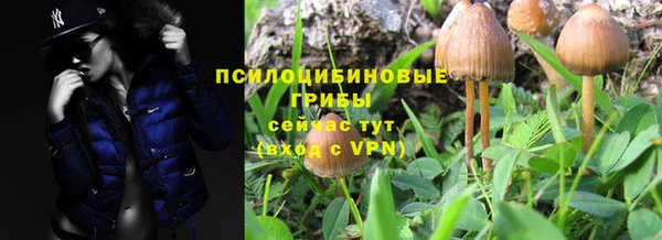 хмурый Карпинск