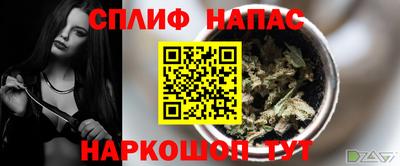 твердый Кингисепп