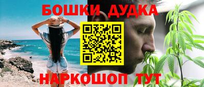твердый Кингисепп