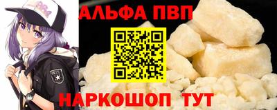 твердый Кингисепп