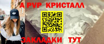 твердый Кингисепп