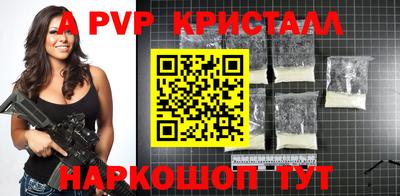 твердый Кингисепп