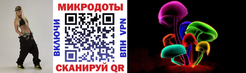 Псилоцибиновые грибы Psilocybe  Лыткарино 