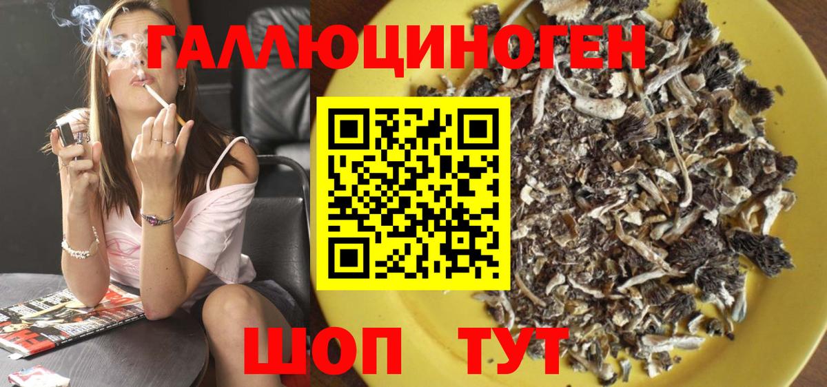 Псилоцибиновые грибы MAGIC MUSHROOMS Лыткарино
